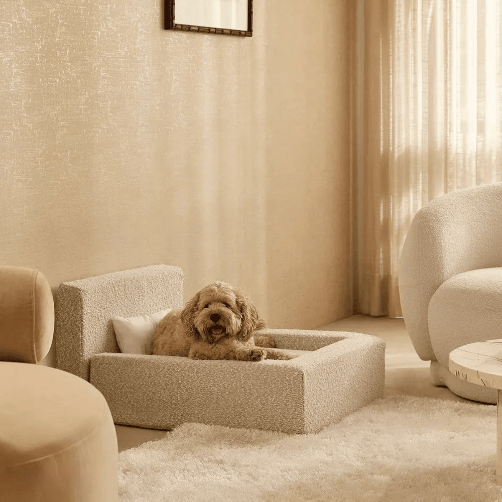 Luxury Bouclé Haustier-Sofa Modernes Hundebett