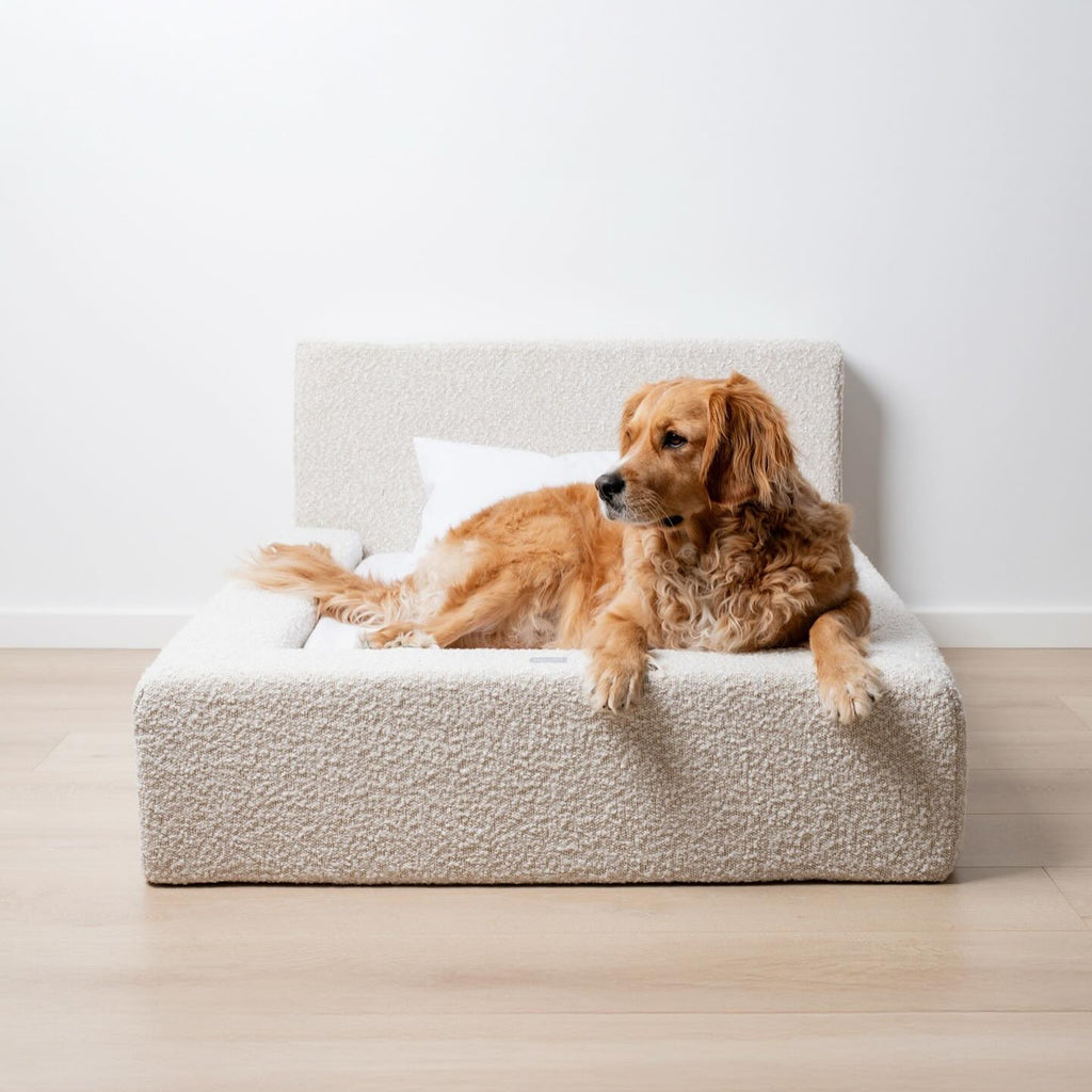 Luxury Bouclé Haustier-Sofa Modernes Hundebett