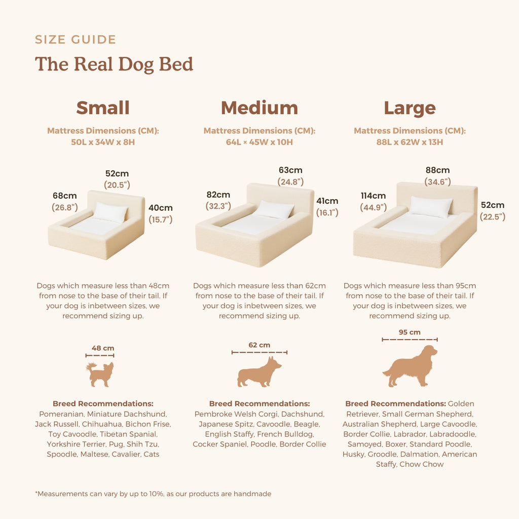 Luxury Bouclé Haustier-Sofa Modernes Hundebett